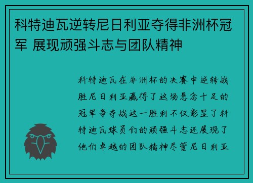 科特迪瓦逆转尼日利亚夺得非洲杯冠军 展现顽强斗志与团队精神